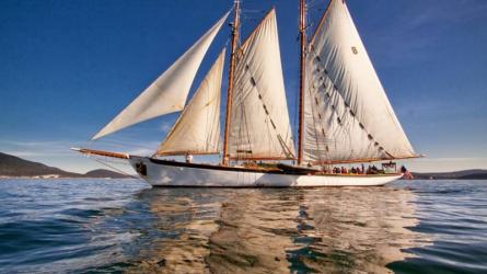 ZODIAC, a William H. Hand, Jr., schooner. 